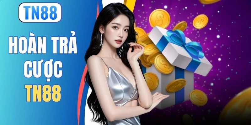 Tỷ Lệ Hoàn Trả Cược TN88 Mới Nhất Lên Tới 2.5% Mỗi Ngày