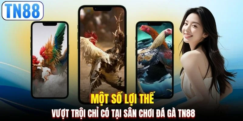 Một số lợi thế vượt trội chỉ có tại sân chơi đá gà TN88